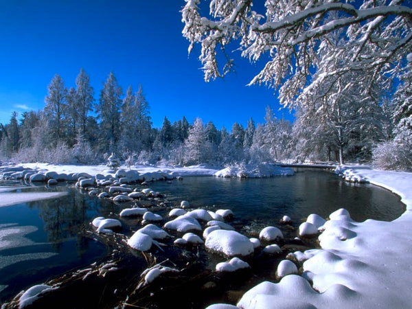 8 Minnesota State Parks to Explore This Winter – Republic of Durable Goods